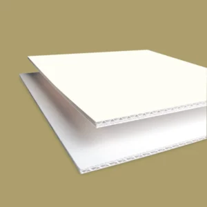 Custom Paper Bags
